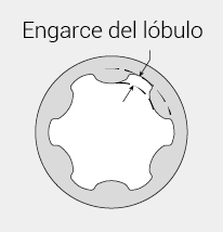 lobe-engagement-es