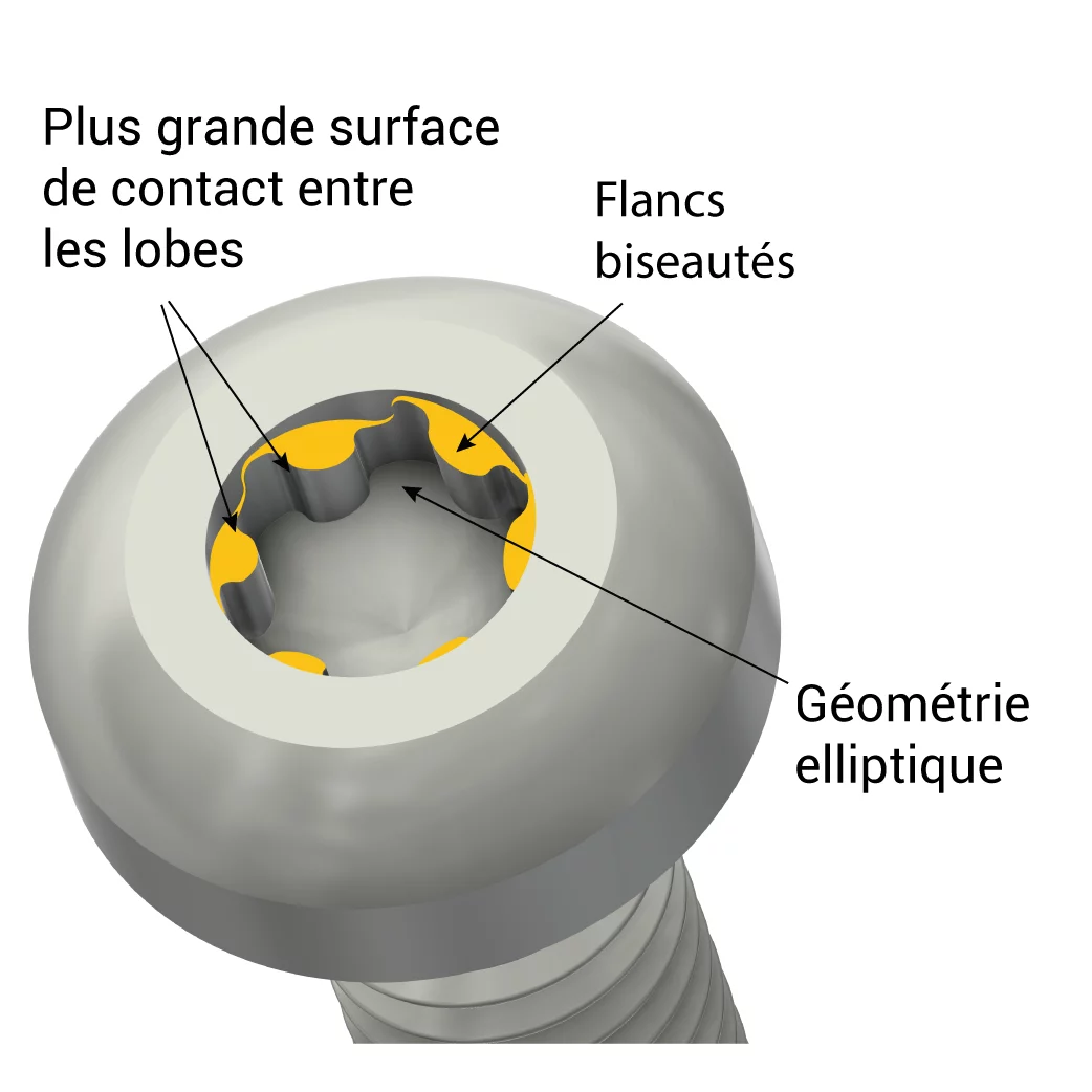 FR_TORX-PLUS-AUTOSERT-PAN-HEAD_yellow-ramps_web_240x240__FR-09
