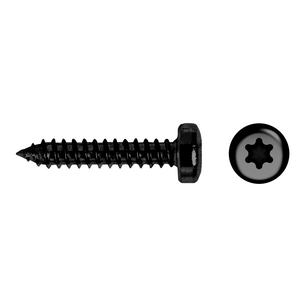 Tornillo negro con cabeza alomada y impronta TORX