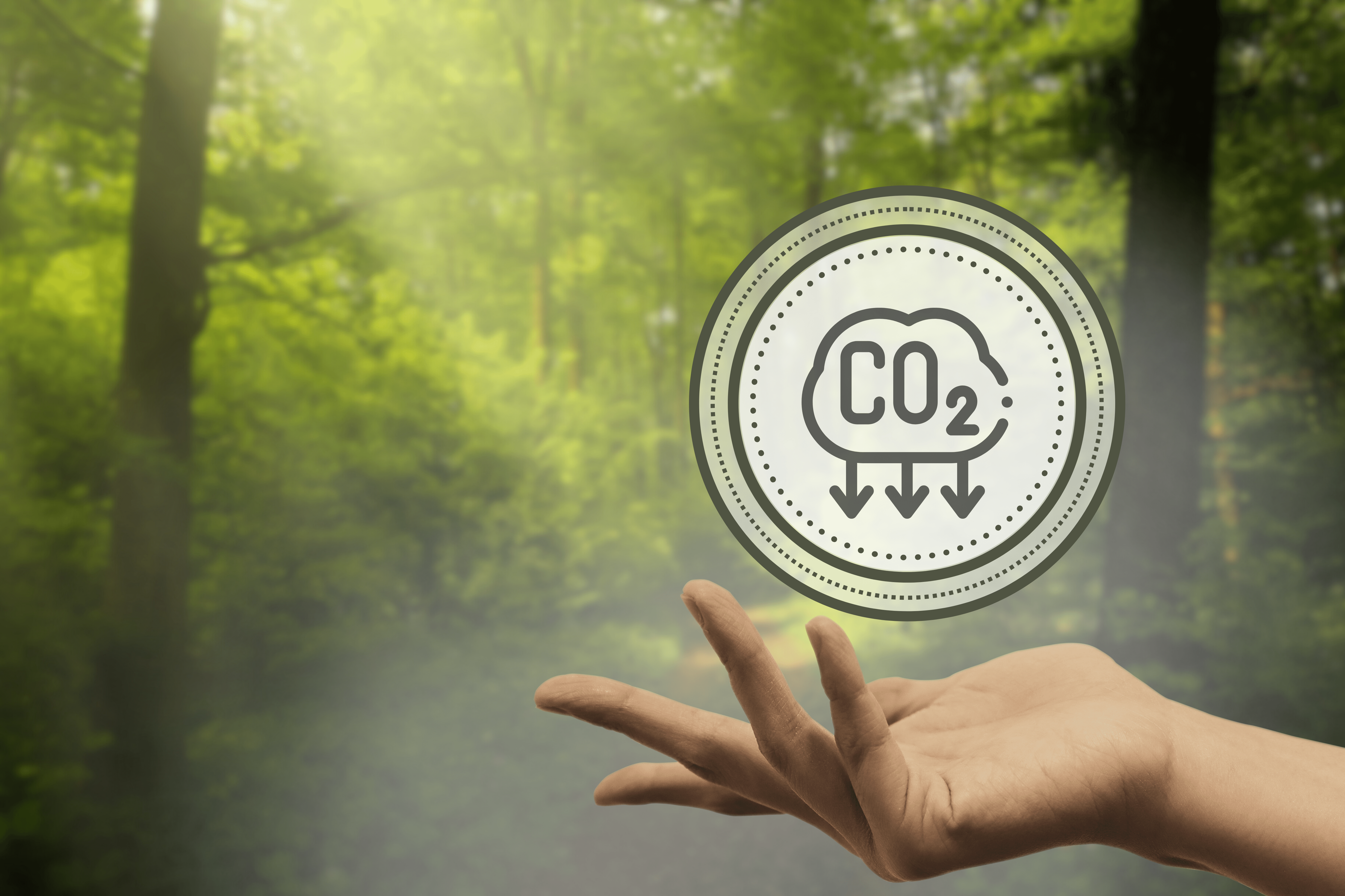 CARBON FOOTPRINT