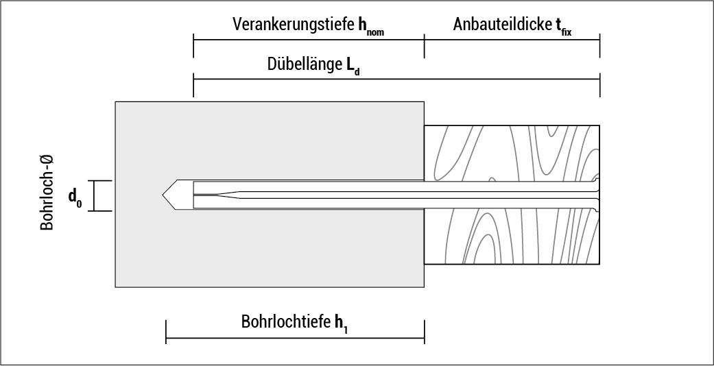 t_bn_de
