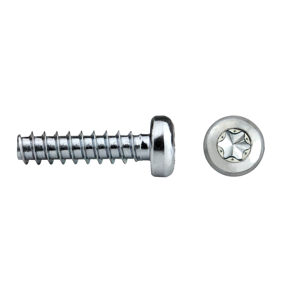 Tornillo rosca para plástico RF81T REMFORM® con cabeza alomada TORX