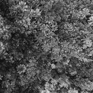 Environmental